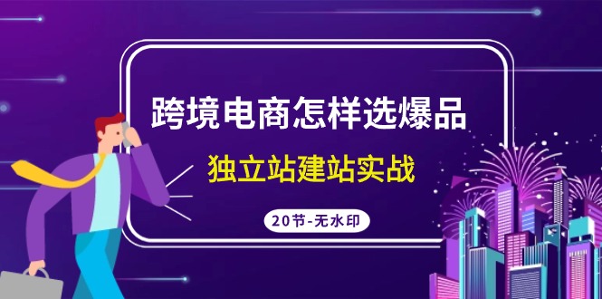 跨境电商怎样选爆品，独立站建站实战（20节高清课）-生财有术官方网站