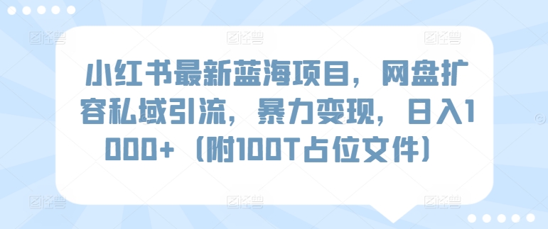 小红书最新蓝海项目，网盘扩容私域引流，暴力变现，日入1000+（附100T占位文件）-生财有术官方网站