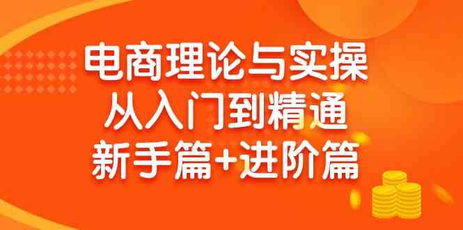 （9576期）电商理论与实操从入门到精通 新手篇+进阶篇-生财有术官方网站