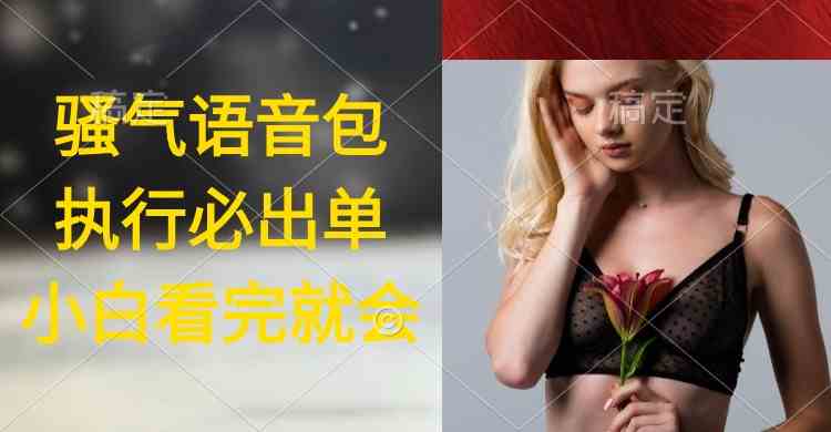 （9589期）执行就出单，日入2000+，超火骚气语音包，小白看完课程就能马上实操-生财有术官方网站