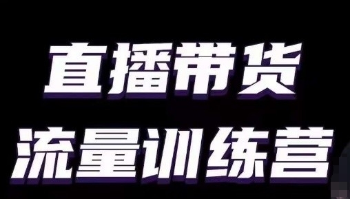 直播带货流量训练营，小白主播必学直播课-生财有术官方网站