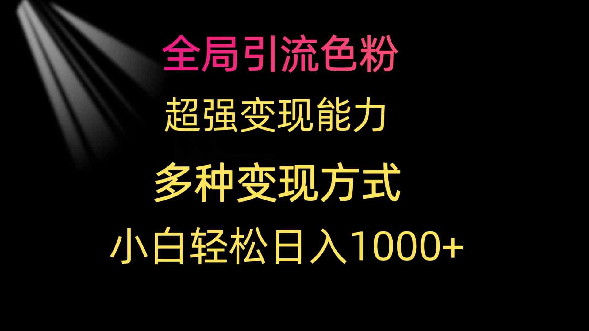 （9680期）全局引流色粉 超强变现能力 多种变现方式 小白轻松日入1000+-生财有术官方网站