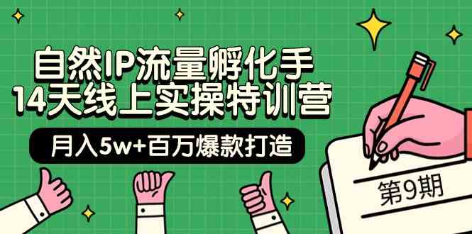 （9881期）自然IP流量孵化手 14天线上实操特训营【第9期】月入5w+百万爆款打造 (74节)-生财有术官方网站