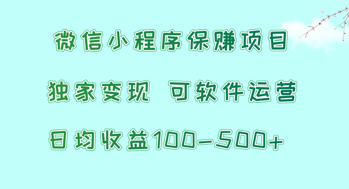 微信小程序保赚项目，日均收益100~500+，独家变现，可软件运营-生财有术官方网站