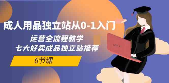 （10082期）成人用品独立站从0-1入门，运营全流程教学，七大好卖成品独立站推荐-6节课-生财有术官方网站