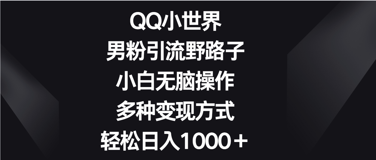 QQ小世界男粉引流野路子，小白无脑操作，多种变现方式轻松日入1000＋-生财有术官方网站