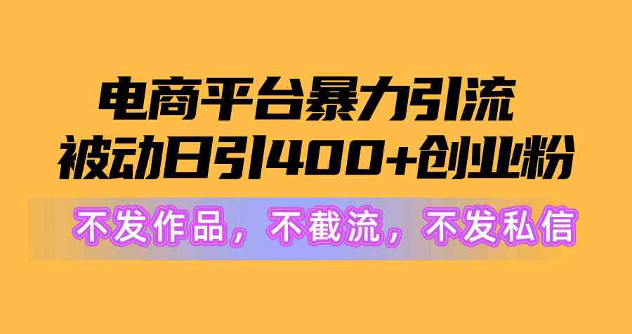 （10168期）电商平台暴力引流,被动日引400+创业粉不发作品，不截流，不发私信-生财有术官方网站