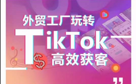 外贸工厂玩转TikTok高效获客，多种引流方式与账号定位技巧，拆解爆款短视频打造成功案例-生财有术官方网站