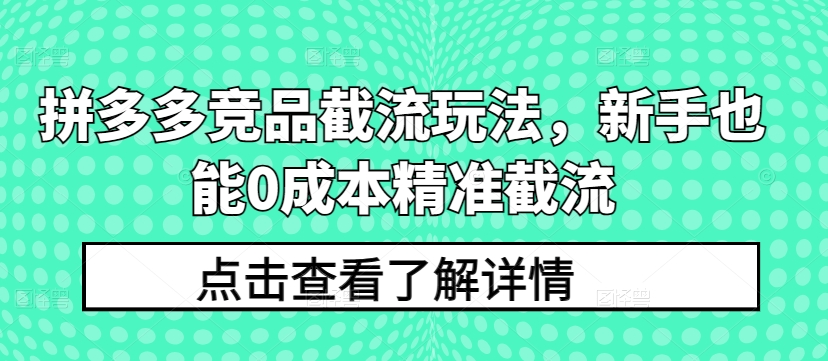 拼多多竞品截流玩法，新手也能0成本精准截流-生财有术官方网站