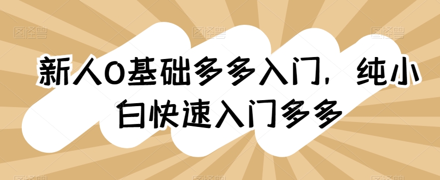 新人0基础多多入门，​纯小白快速入门多多-生财有术官方网站