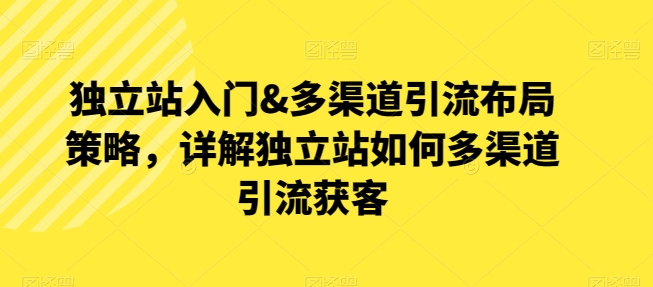 独立站入门&多渠道引流布局策略，详解独立站如何多渠道引流获客-生财有术官方网站