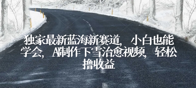 独家最新蓝海新赛道，小白也能学会，AI制作下雪治愈视频，轻松撸收益-生财有术官方网站