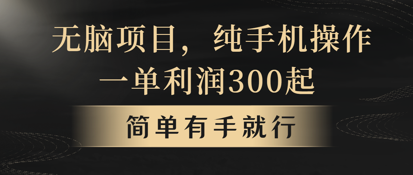 （10699期）无脑项目，一单几百块，轻松月入5w+，看完就能直接操作-生财有术官方网站