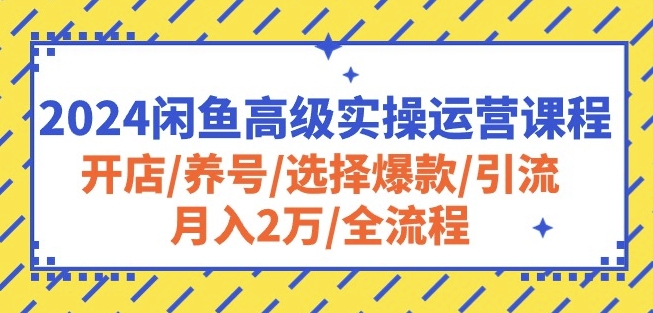 2024闲鱼高级实操运营课程：开店/养号/选择爆款/引流/月入2万/全流程-生财有术官方网站