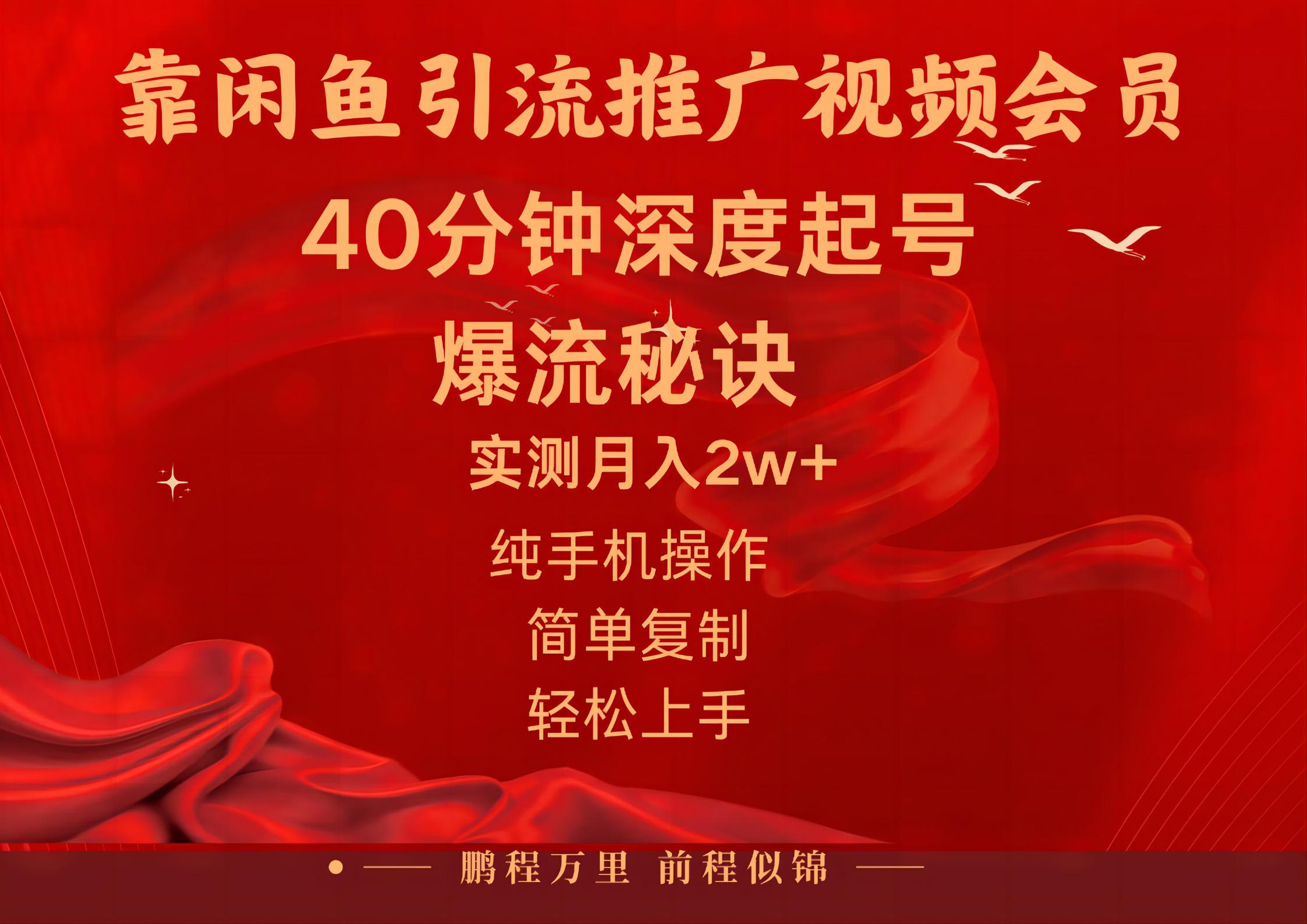 （10895期）闲鱼暴力引流推广视频会员，能做到日入2W+，操作简单-生财有术官方网站