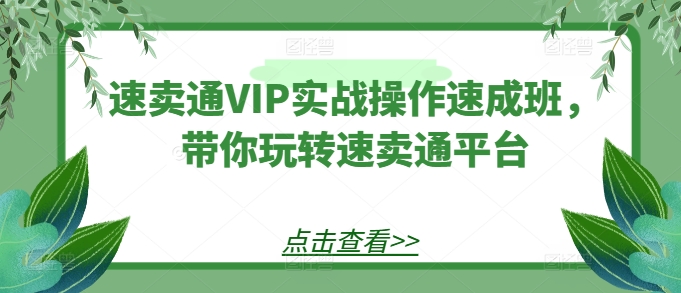 速卖通VIP实战操作速成班，带你玩转速卖通平台-生财有术官方网站