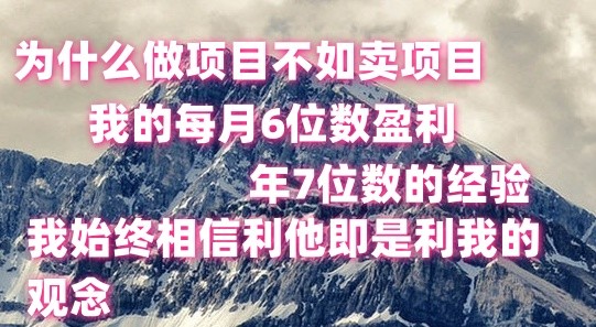 做项目不如卖项目，每月6位数盈利，年7位数经验-生财有术官方网站