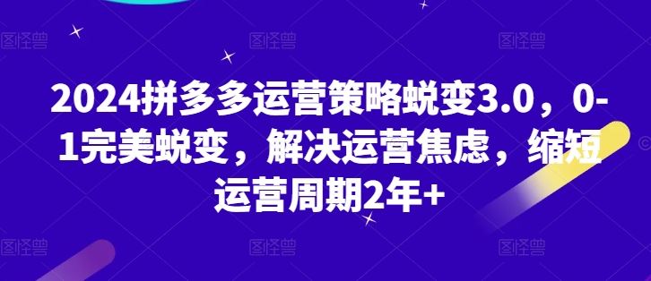 2024拼多多运营策略蜕变3.0，0-1完美蜕变，解决运营焦虑，缩短运营周期2年+-生财有术官方网站