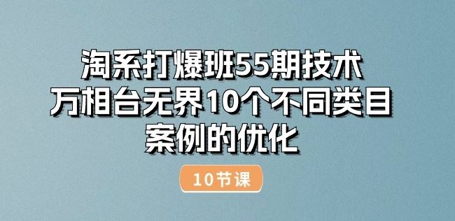 淘系打爆班55期技术：万相台无界10个不同类目案例的优化(10节)-生财有术官方网站