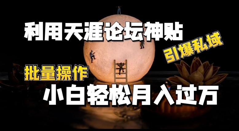 利用天涯论坛神贴，引爆私域，批量操作，小白轻松月入过w【揭秘】-生财有术官方网站