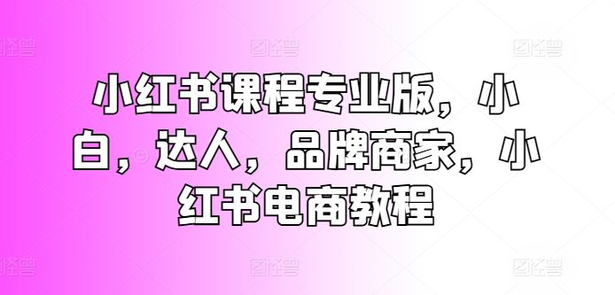 小红书课程专业版，小白，达人，品牌商家，小红书电商教程-生财有术官方网站