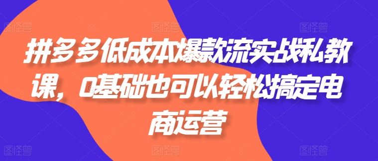 拼多多低成本爆款流实战私教课，0基础也可以轻松搞定电商运营-生财有术官方网站