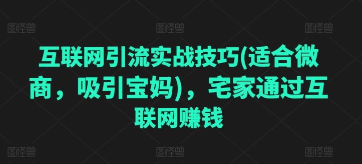 互联网引流实战技巧(适合微商，吸引宝妈)，宅家通过互联网赚钱-生财有术官方网站