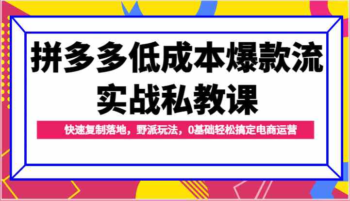 拼多多低成本爆款流实战私教课，快速复制落地，野派玩法，0基础轻松搞定电商运营-生财有术官方网站
