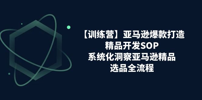 （11210期）【训练营】亚马逊爆款打造之精品开发SOP，系统化洞察亚马逊精品选品全流程-生财有术官方网站