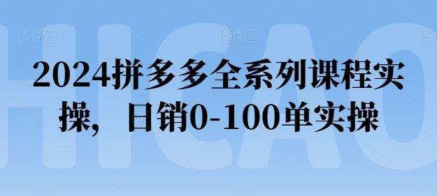 2024拼多多全系列课程实操，日销0-100单实操【必看】-生财有术官方网站