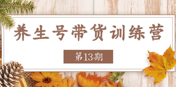 （11275期）养生号-带货训练营【第13期】收益更稳定的玩法，让你带货收益爆炸-生财有术官方网站