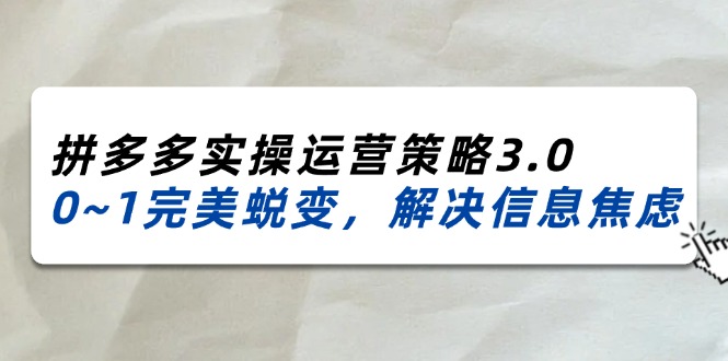 （11658期）2024_2025拼多多实操运营策略3.0，0~1完美蜕变，解决信息焦虑（38节）-生财有术官方网站