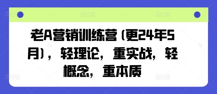 老A营销训练营(更24年7月)，轻理论，重实战，轻概念，重本质-生财有术官方网站