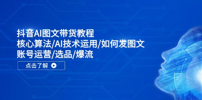抖音AI图文带货教程：核心算法/AI技术运用/如何发图文/账号运营/选品/爆流-生财有术官方网站
