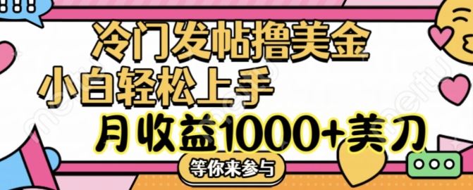 冷门发帖撸美金项目，月收益1000+美金，简单无脑，干就完了【揭秘】-生财有术官方网站