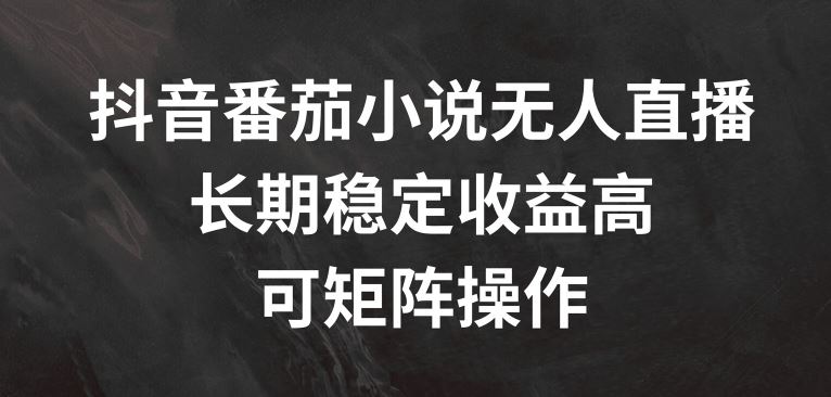 抖音番茄小说无人直播，长期稳定收益高，可矩阵操作【揭秘】-生财有术官方网站