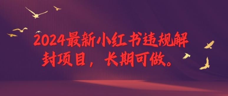 2024最新小红书违规解封项目，长期可做，一个可以做到退休的项目【揭秘】-生财有术官方网站