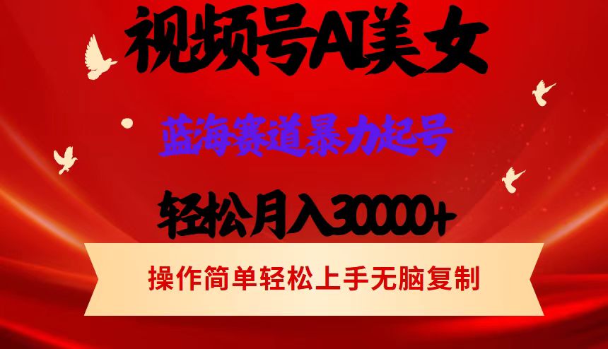 （12178期）视频号AI美女跳舞，轻松月入30000+，蓝海赛道，流量池巨大，起号猛，当…-生财有术官方网站