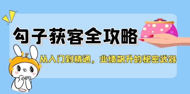 从入门到精通，勾子获客全攻略，业绩飙升的秘密武器-生财有术官方网站