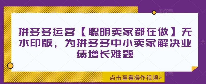 拼多多运营【聪明卖家都在做】无水印版，为拼多多中小卖家解决业绩增长难题-生财有术官方网站