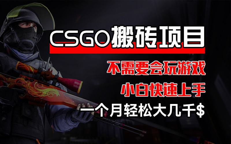 （12332期）CSGO 装备搬砖项目，操作简单，不需要会玩游戏，小白也能快速上手，一…-生财有术官方网站