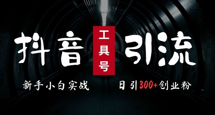 2024最新抖音工具号引流玩法，高效日引300+创业粉，当天变现5k，小白也可成为实战高手-生财有术官方网站