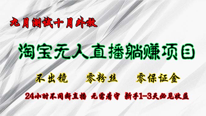 （12862期）淘宝无人直播最新玩法，九月测试十月外放，不出镜零粉丝零保证金，24小…-生财有术官方网站
