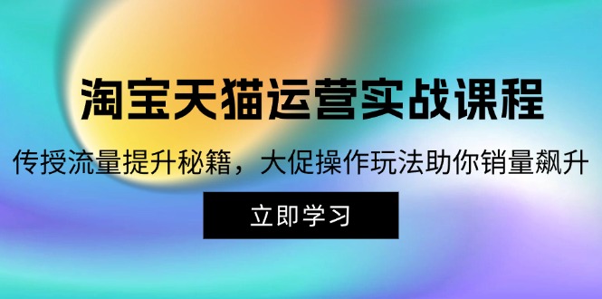 （12959期）淘宝&天猫运营实战课程，传授流量提升秘籍，大促操作玩法助你销量飙升-生财有术官方网站