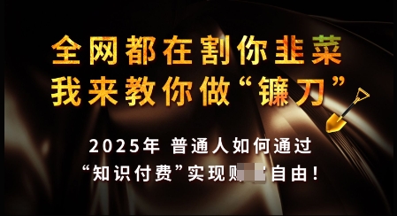 知识付费如何做到月入过W+，2025我来教你做“镰刀”【揭秘】-生财有术官方网站