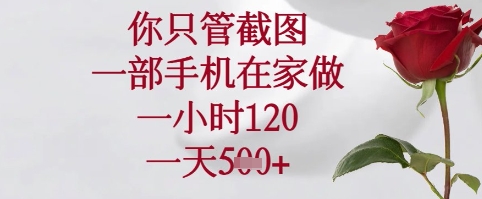 你只管截图，一部手机在家可以做，一小时120.一天5张+【揭秘】-生财有术官方网站