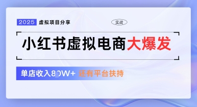 小红书虚拟电商项目，平台大力免费流量扶持，低门槛1拖3玩法-生财有术官方网站
