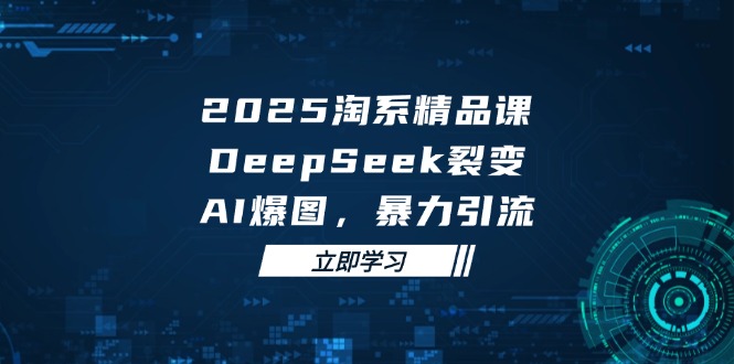 2025 淘系精品课，DeepSeek 裂变，AI 爆图，暴力引流-生财有术官方网站
