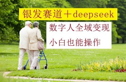 银发赛道+deepseek数字人全域变现，小白也能操作-生财有术官方网站