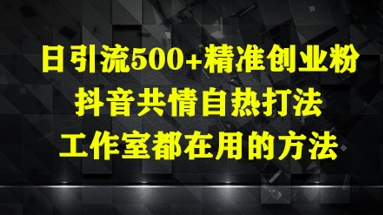 日引流500+精准创业粉，抖音共情自热打法，工作室都在用的方法-生财有术官方网站